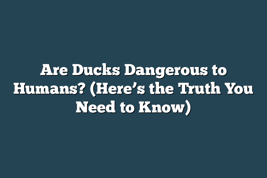 Are Ducks Dangerous to Humans? (Here’s the Truth You Need to Know)
