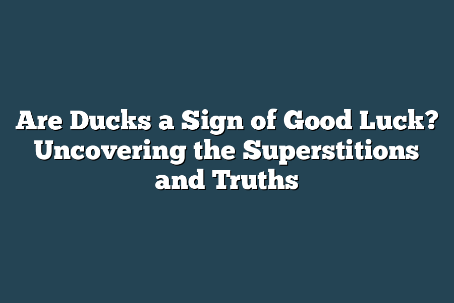 Are Ducks a Sign of Good Luck? Uncovering the Superstitions and Truths