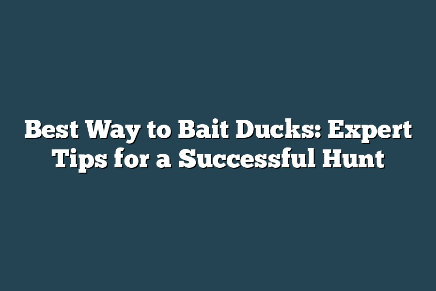 Best Way to Bait Ducks: Expert Tips for a Successful Hunt