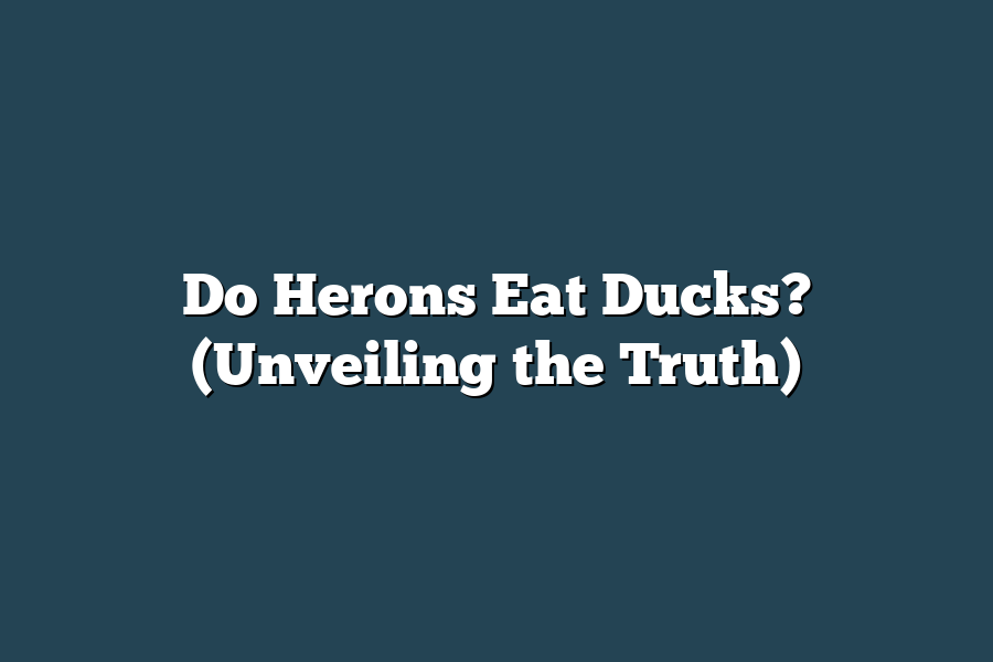 Do Herons Eat Ducks? (Unveiling the Truth)