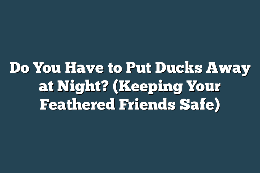 Do You Have to Put Ducks Away at Night? (Keeping Your Feathered Friends Safe)