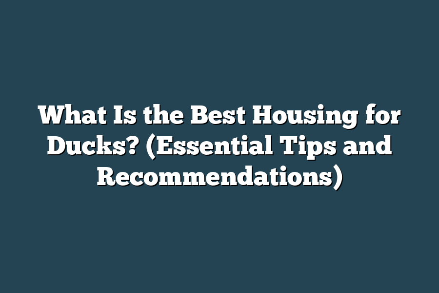 What Is the Best Housing for Ducks? (Essential Tips and Recommendations)