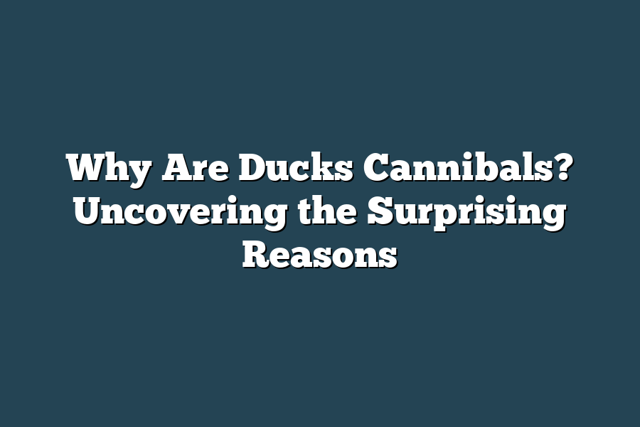 Why Are Ducks Cannibals? Uncovering the Surprising Reasons