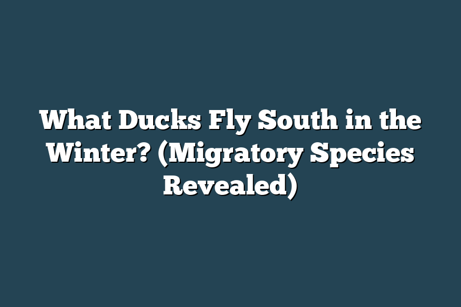 What Ducks Fly South in the Winter? (Migratory Species Revealed)