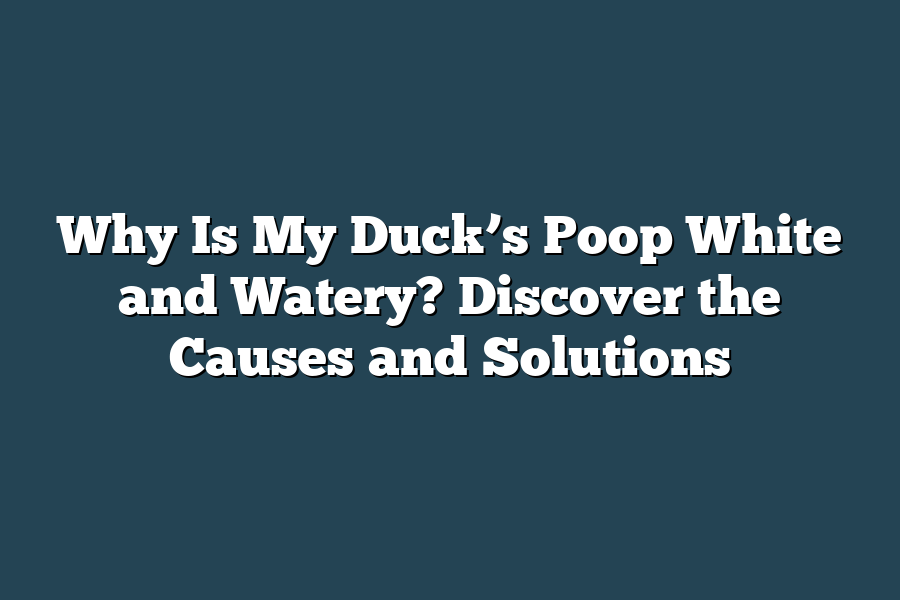 Why Is My Duck’s Poop White and Watery? Discover the Causes and Solutions