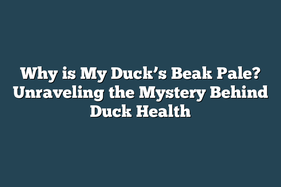 Why is My Duck’s Beak Pale? Unraveling the Mystery Behind Duck Health
